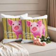 thumbnail image 2 of Welcome Pillow Covers 2 Pack Farmhouse Watercolor Pig Cute Piggy Yellow Wood Grain Pillowcase Waterproof Outdoor Throw Pillow Cover for Patio Garden Square Cushion 16”x16”, 2 of 9