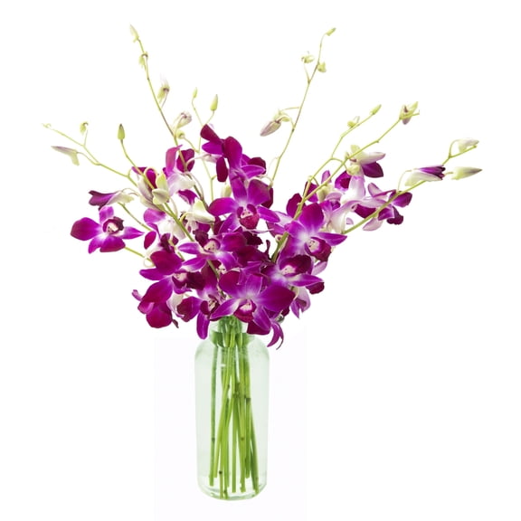 KaBloom : Bouquet of 10 Purple Orchids with Vase, Next-Day Delivery, Gift for Every Occasion