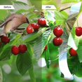 thumbnail image 4 of Tira repelente de pájaros, tiras reflectantes, cinta de control de aves para jardín, granja, 2 uds., 4 of 5