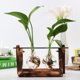 thumbnail image 3 of Florero Con Marco De Madera Vintage, Terrario De Plantas Con Soporte De Madera, Florero De Vidrio, Macetero De Escritorio Para Decoración Del Hogar Y La Oficina, 3 of 8