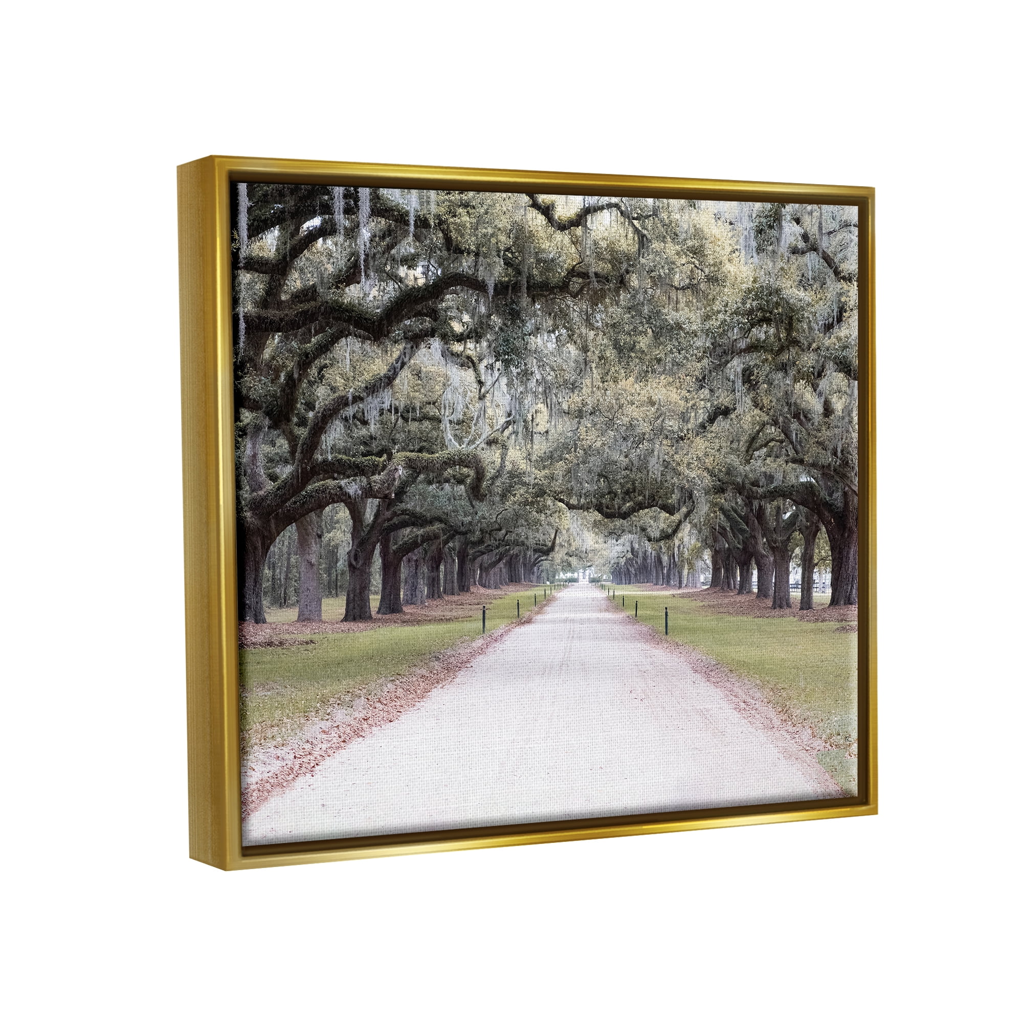 Stupell Industries Tree Grove Path Photography Landscape Photography Gold Floater Framed Canvas Art Print Wall Art, 31 x 25