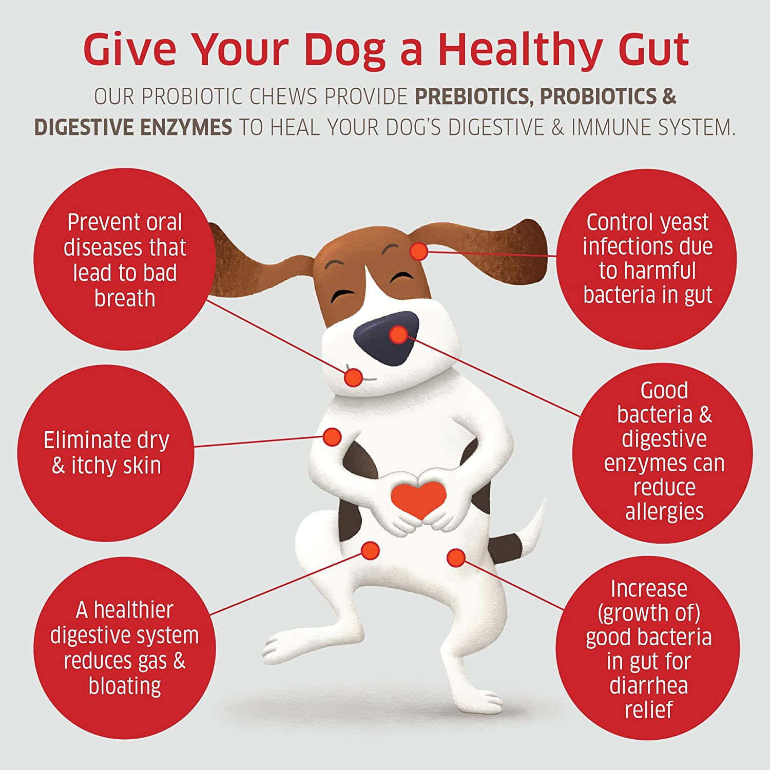 can probiotics give my dog diarrhea