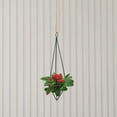 thumbnail image 4 of unbranded 2Ud Estante Decorativo De Metal Negro Para Plantas De Aire Con, 4 of 8
