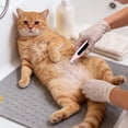 thumbnail image 4 of Tondeuse à Poils de Chat et Tondeuse à Pousser Rasoir de Toilettage Doux pour Animaux de Compagnie pour un Retrait Efficace, 4 of 5