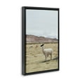 thumbnail image 4 of Stupell Industries Wild Alpacas in Desert Animals Photography Black Floater Framed Canvas Art Print Wall Art, 21 x 31, 4 of 10