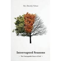 Interrupted Seasons: The Unstoppable Grace of God (Paperback)