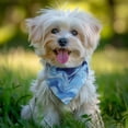 thumbnail image 2 of Dog Bandana 1 Pack,Blue Marble Flow Pattern Bandanas for Dogs,Cat Bandana,Small/ Large Dog Bandana 2 Size,Dog Bandanas, 2 of 6