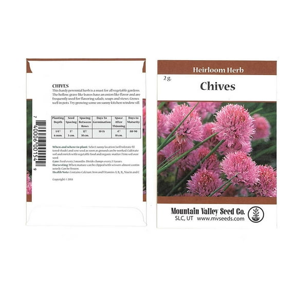 Chives Herb Garden Seeds - 2 Gram Packet - Non-GMO, Heirloom - Perennial Herbal Gardening & Microgreens - Allium schoenoprasum