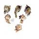 thumbnail image 1 of Pegatinas de pared de gatos 3D BRILLAR Juego de 6, 1 of 5