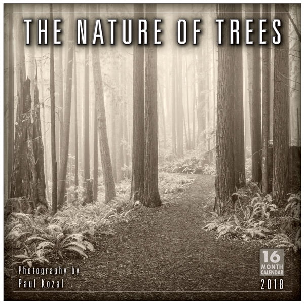 The Nature Of Trees— Photography By Paul Kozal 2018 Wall Calendar