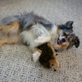 thumbnail image 6 of Outward Hound Hedgehogz Plush Dog Toy, Medium, 6 of 7