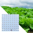 thumbnail image 4 of Luz LED de cultivo de 50 W, resistente al agua, para plantas de invernadero. Morado y Rosa 81 Leds, 4 of 7