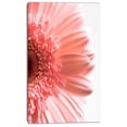 thumbnail image 2 of Grands Pétales de Fleurs Marguerites Roses - Impression sur Toile Florale, 2 of 3