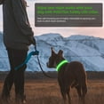 thumbnail image 5 of PcEoTllar Flashing LED Dog Collar - Waterproof Rechargeable for Night Walking Light up Adjustable Safety Dog Collar for Small Dogs (Green), 5 of 10