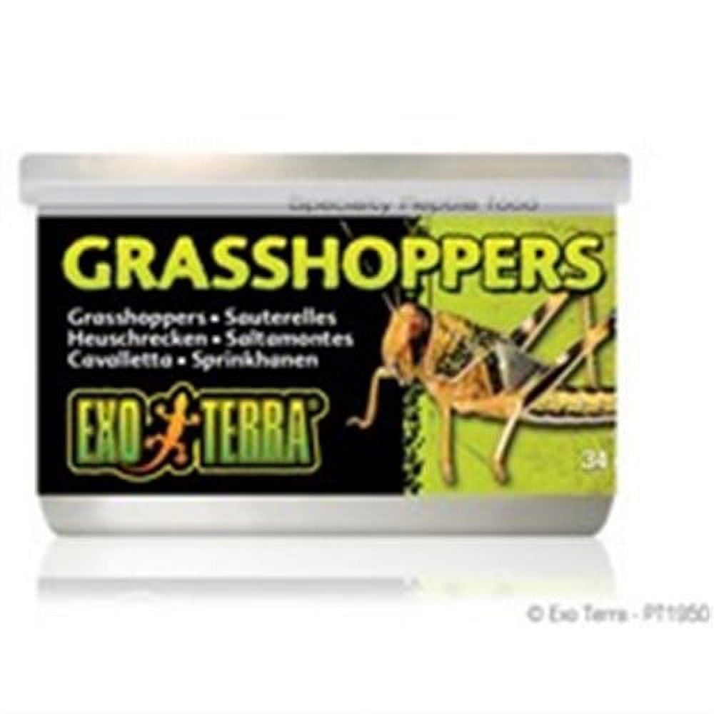 Exo Terra Grasshopper Reptile Food, Insects, 1.2 oz. Can - Walmart.com
