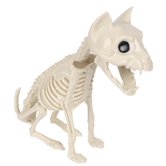 Halloween Cat Skeleton Decoration, Realistic Animal Bones Props for Graveyard Scene, Spooky Teaching Skeleton for Halloween Party Decor