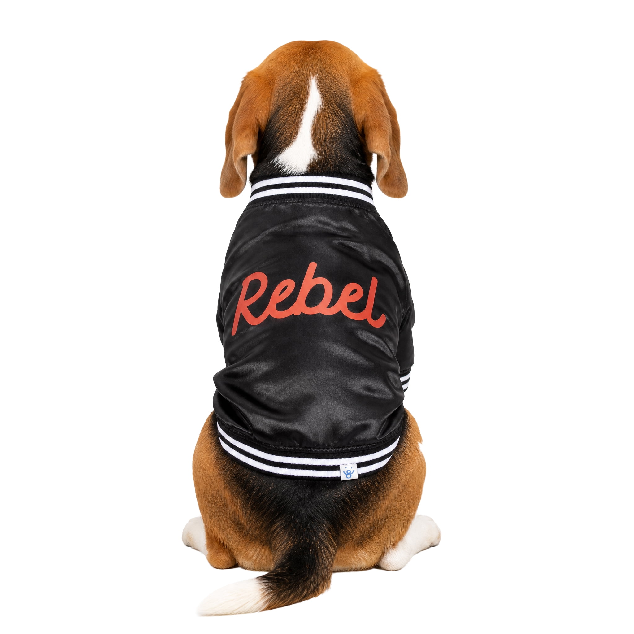 Oodles Rebel Fall Dog Jacket, Black, Medium