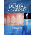thumbnail image 1 of Pre-Owned Woelfel's Dental Anatomy [With Access Code] (Paperback) 1608317463 9781608317462, 1 of 1