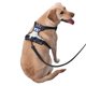 thumbnail image 2 of Balery Sea Underwater Animals1 Arnés para Perros Grandes Antitirones, Arnés con Correa para Gato, Arnés Tipo Chaleco para Perros Pequeños-Medium, 2 of 6