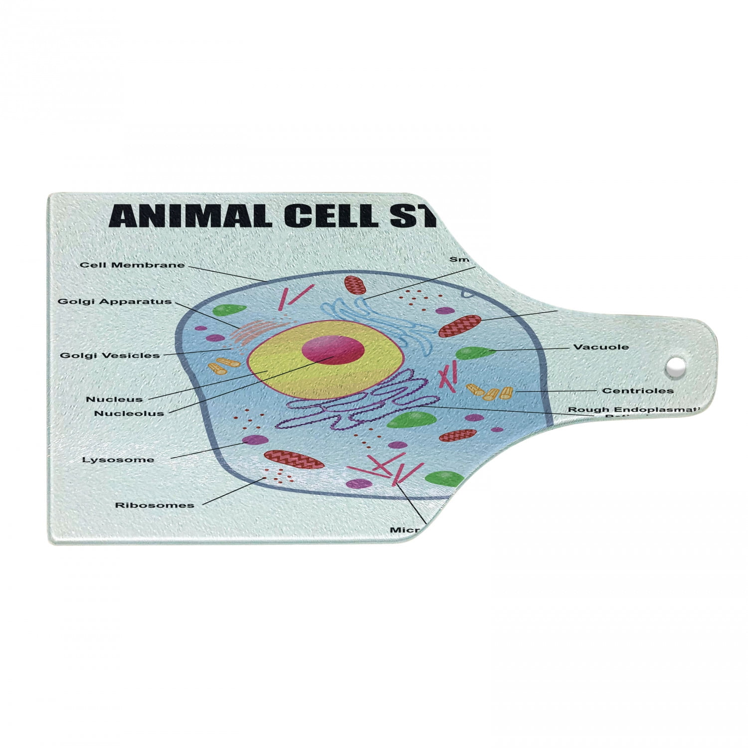 Multicolor Rectangular Tempered Glass Cutting and Serving Board
