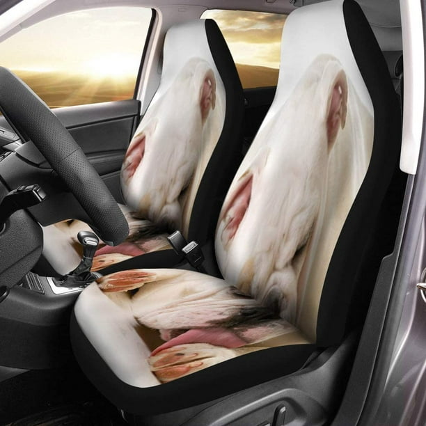 Bulldog seat top