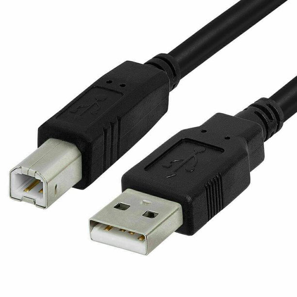 til stede Beskrivelse Rustik New USB Cable Laptop PC Data Sync Cord Replacement for Casio Exilim Cradle  CA-20 CA-21 CA-22 CA-24 CA-28 CA-30 CA-31 CA20 CA21 CA22 CA24 CA28 CA30  CA31 EX-S500 EX-S600 Camera Docking Station -