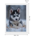 thumbnail image 2 of Diamond Art Kits for Adults - Snowy Puppy Blue Eyes Winter Scene 5d Diamond Painting for Adults, Diamond Art for Adults Beginners, Frameless Diamond Painting Kits for Adults for Home Wall Decor, 2 of 7