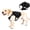 Black, variant on Adjustable No-Pull Dog Harness Backpack with Handle, Leash Ring & Side Pockets for Walking, Training and Hiking, Lightweight Vest, Pink, Large Size