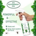 thumbnail image 3 of Minty Spider Repellent, Natural 5% Peppermint Oil Spray, Kills & Deters All Types of Spiders and Insects, Indoor and Outdoor Use, 128 fl oz Gallon, 3 of 6