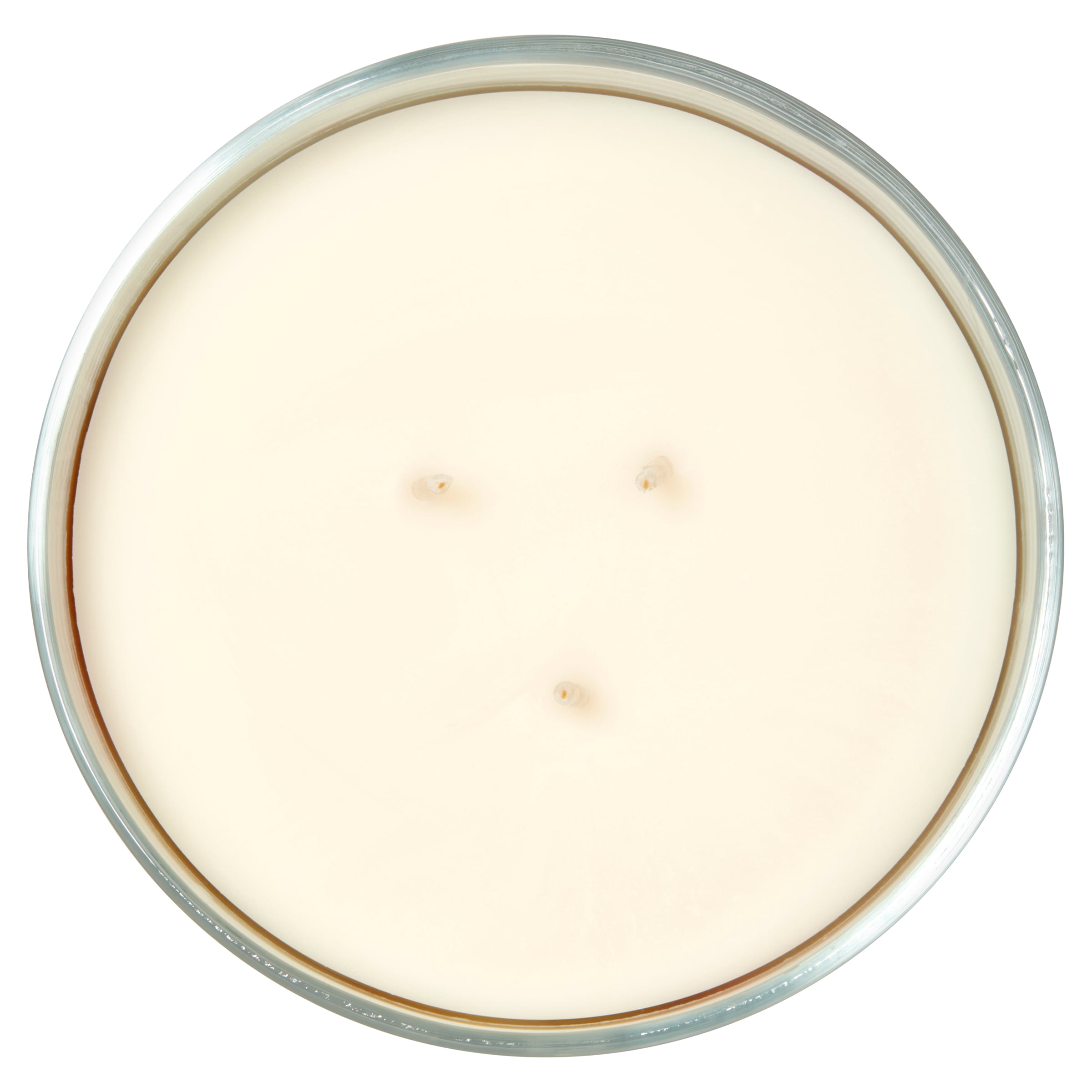 Mainstays 3 Wick Wrapped Candle Warm Apple Pie, 13 Ounce