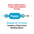 thumbnail image 3 of Alimento para perro Royal Canin Bulldog Puppy de 13.6Kg Royal Canin Bulldog Puppy, 3 of 5
