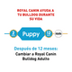 thumbnail image 3 of Alimento para perro Royal Canin Bulldog Puppy de 2.72Kg Royal Canin Bulldog Puppy, 3 of 5