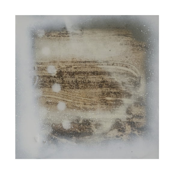 Trademark Fine Art Erin McGee Ferrell  Polka Squares III Canvas Wall Art