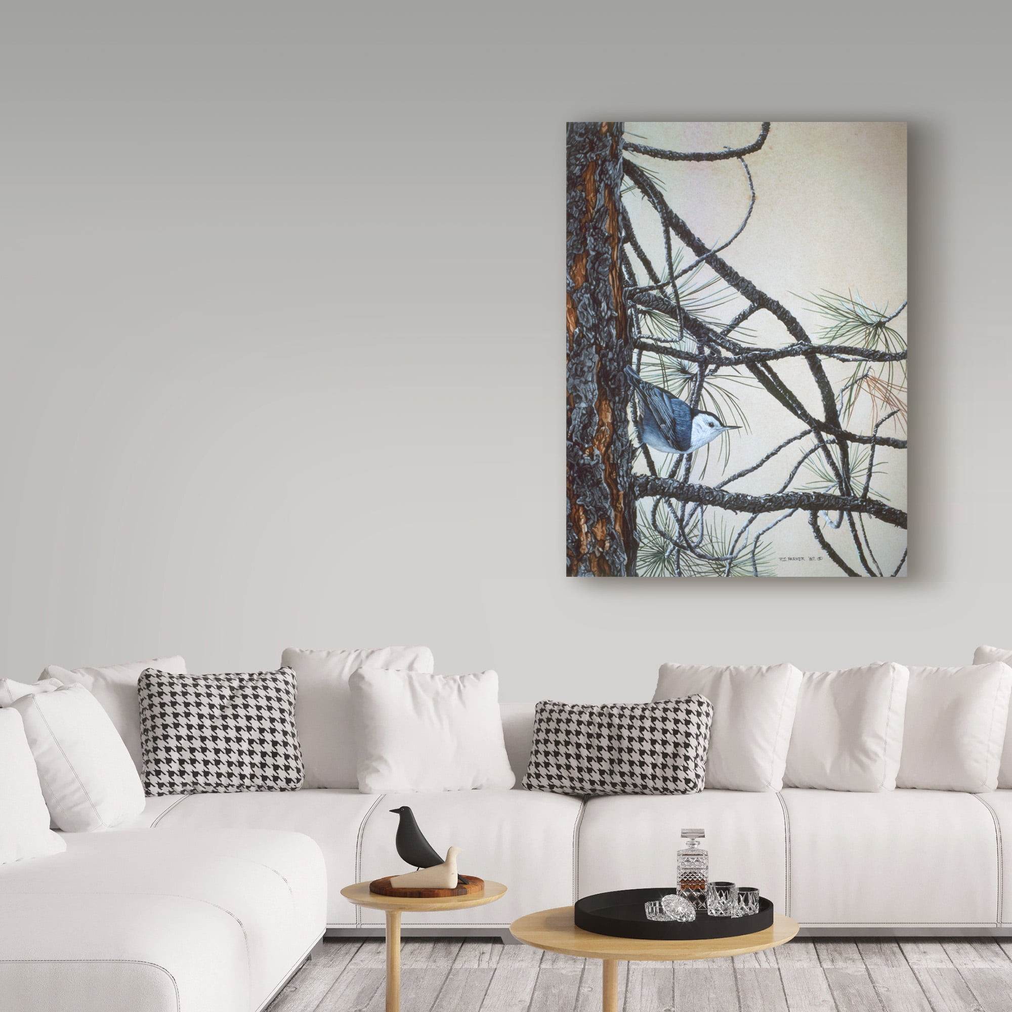Trademark Fine Art 'White Breasted Nuthatch' Canvas Art by Ron Parker