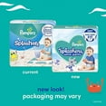 thumbnail image 2 of Pampers Splashers Swim Diapers Size 5 17 Count, 2 of 3