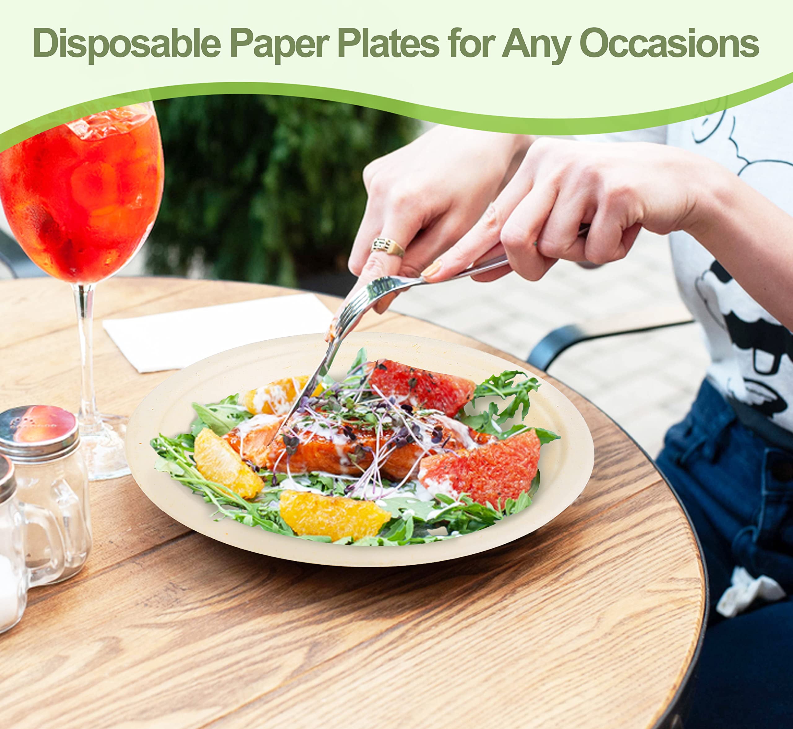 Pony Packaging 10 Inch Disposable Paper Plates, 250 Count (1 Pack)