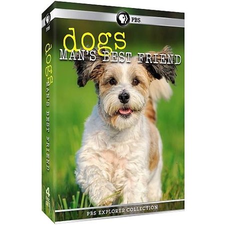 PBS Explorer Collection: Dogs - Man's Best Friend