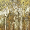 thumbnail image 3 of Robinson, Carol 20x20 Black Modern Framed Museum Art Print Titled - Birch Grove East, 3 of 5