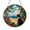 Acrylic 3.5 Inch, variant on Coastal Border Collie Glass Suncatcher Window Decor, Beach Sunset Dog Scene Artwork, Relaxing Ocean Inspired Home Accent