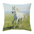thumbnail image 6 of Tyidzon Decorative Throw Pillow Covers 18x18 Inch Soft Pillow Case Modern Farmhouse Home Decor for Sofa Living Room Couch Bed, 6 of 6