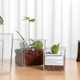 thumbnail image 1 of Maceta de plástico transparente cuadrada para plantas hidropónicas, maceta verde, material PS, maceta decorativa con patrón, 1 of 4