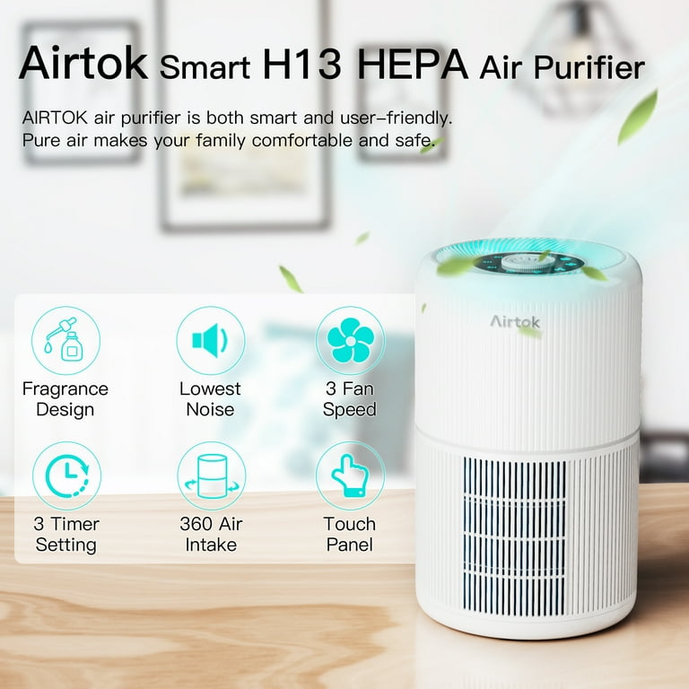 Himox air outlet purifier review