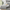 Style 2:Gray, variant on Harper & Bright Designs Wood Twin Size Platform Bed Frame with Headboard and Footboard for Boys Girls Adults, No Box Spring Need, Easy Assembly, Oak