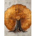 thumbnail image 1 of Qisvanset 12x16 Inch White Wood Tree Ring Canvas Wall Art, Abstract Minimalist Boho Modern Decor, 1 of 5