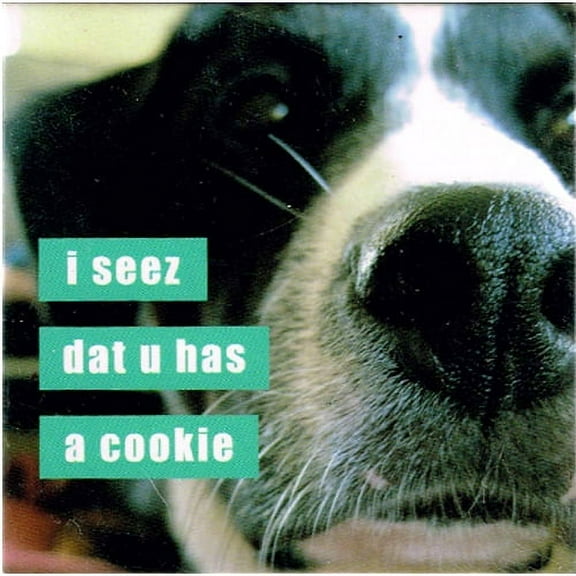 I Can Has Cheezburger 'I Seez' Large Magnet / Favor (1ct)