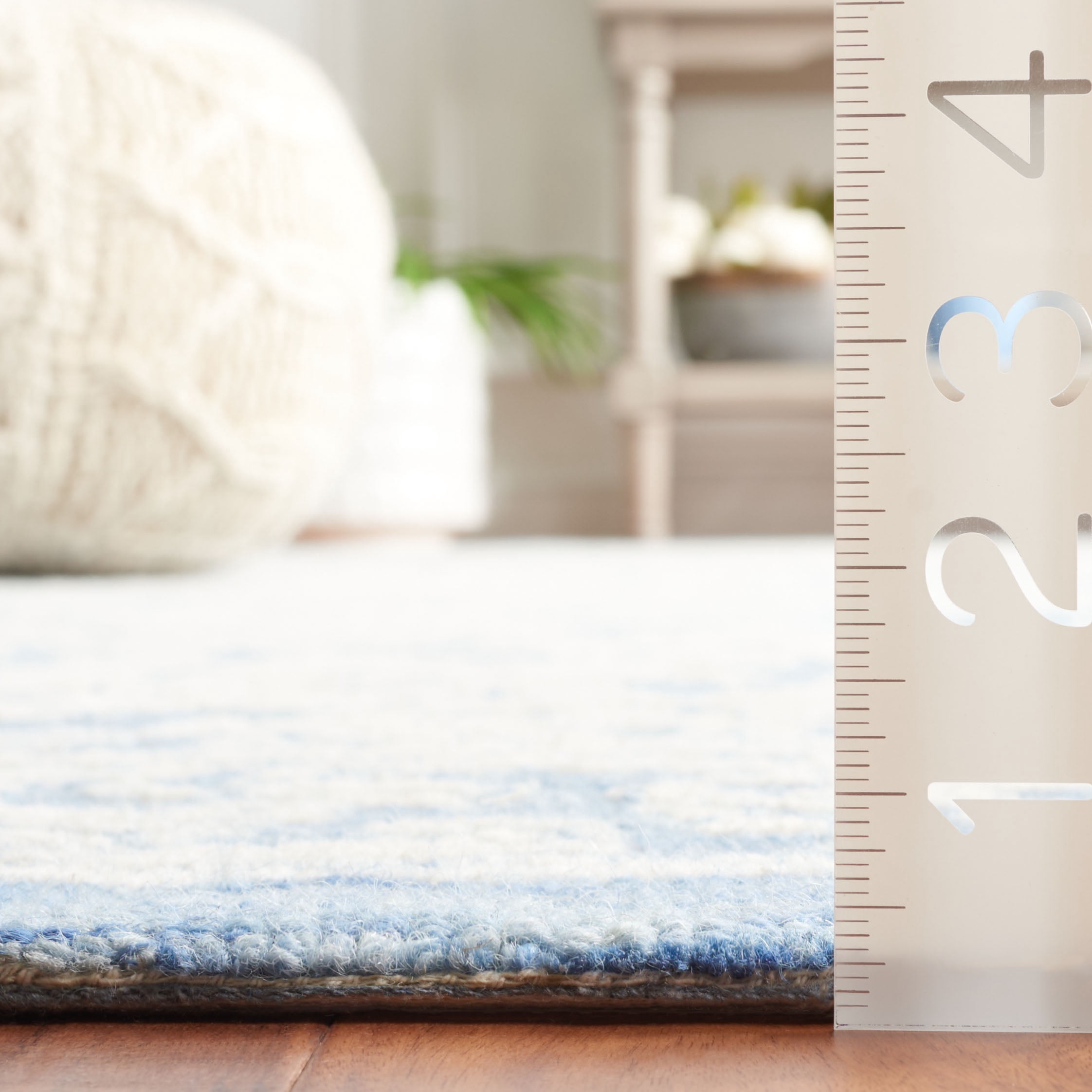 SAFAVIEH Ebony Ailbhe Traditional Area Rug, Ivory/Blue, 3' x 5'