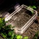thumbnail image 1 of Ventosa para es, plato de alimentación, cuenco de agua, suministros, contenedor de gusanos a prueba de , accesorios de alimentación para 6.5x13.5x2.5cm Claro Colco Alimentador de reptiles, 1 of 8