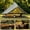 Dark Green, variant on Homefun Oxford Yurt Tent 13.1ft with Stove Jack 4 Season Glamping Tents for 6-8 Person Family Camping,Beige