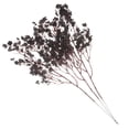 thumbnail image 4 of Hytrove 3Ud Ramo Artificial De Gypsophila Color Negro Para De Interiores Y Exteriores Sofisticada, 4 of 8