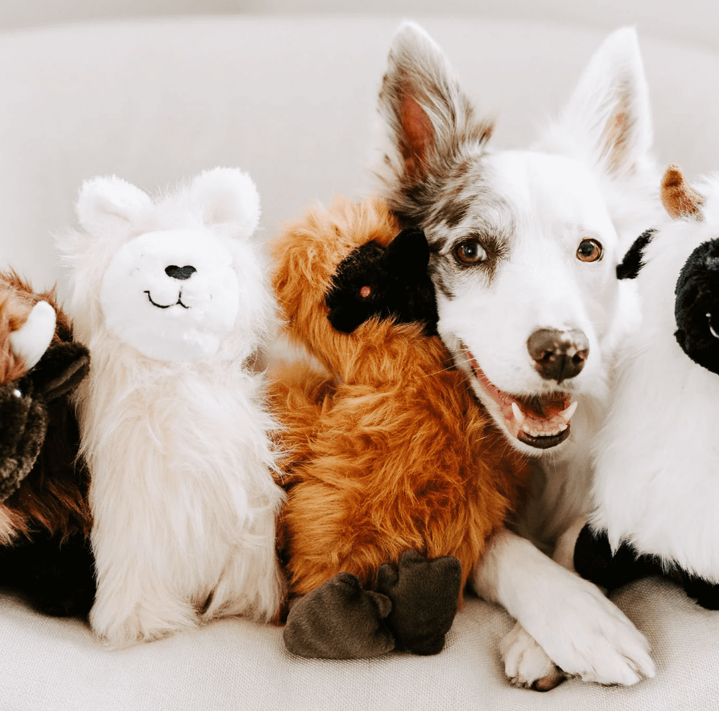 ZippyPaws Wooliez Dog Plush Toy - Interactive Pet Toys, Indestructible Plush Dog Toys, Fun Dog Toys, Enzo The Emu